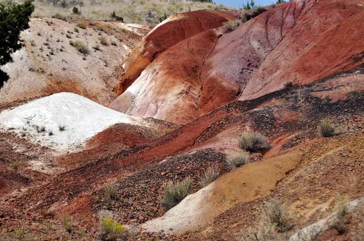 fossil beds of many colors